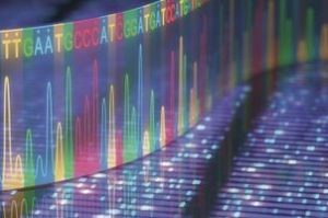205: Scientific Advancements in Diagnostics