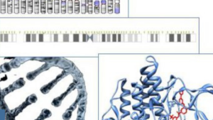 C10: Genomics Academy Certified Specialist