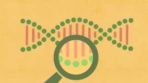 C02: Genomics Academy Certified Precision Oncology Practitioner